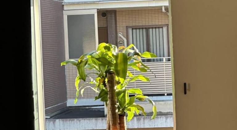 foto31
