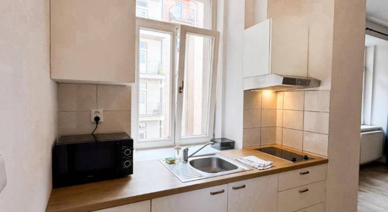Apartment | Next to Náměstí Svobody | Dogs allowed — photo 2