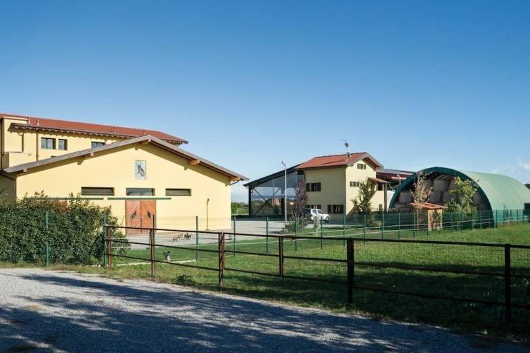 foto15