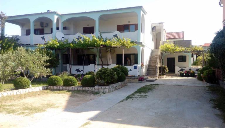 foto2