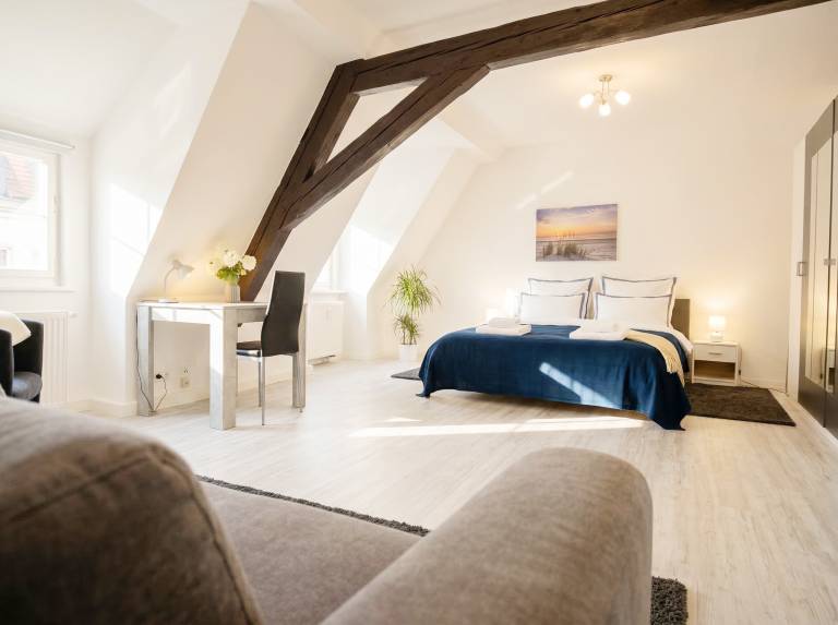 Children-friendly wonderful condo | City view | Pets are welcome in Erfurt