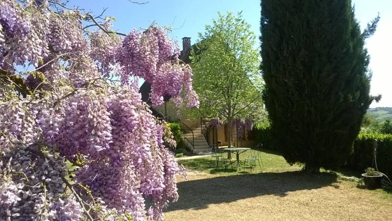 foto21
