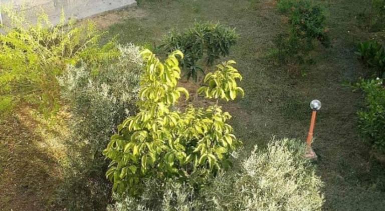 foto31