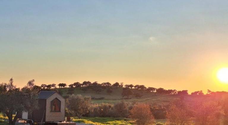 Beautiful house with pool & BBQ | Pets are welcome in Évora