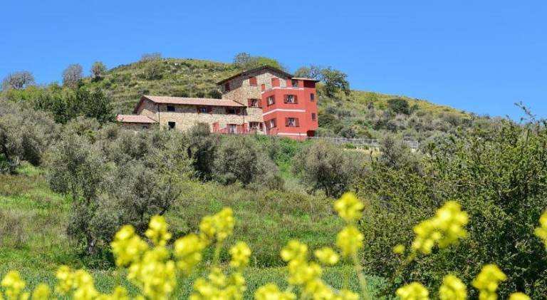 Vacation home with patio & garden | Pets are welcome in Castellabate