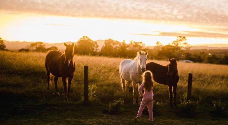 Farm with 2 rooms for 5 persons in Knysna
