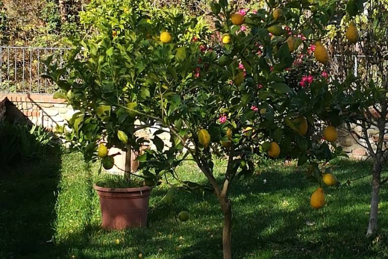 foto44