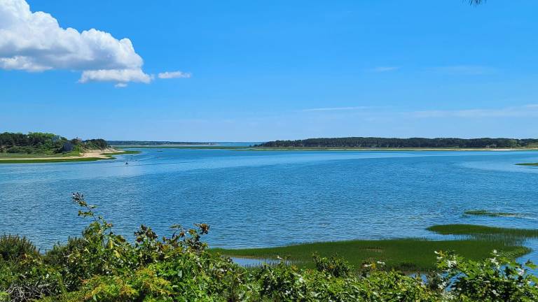 House South Wellfleet