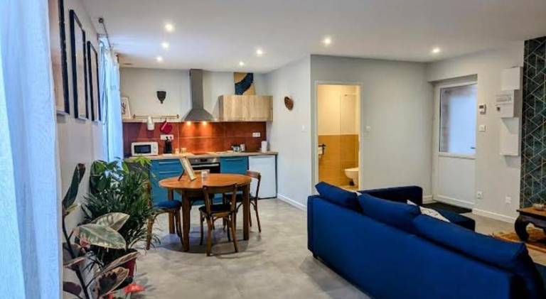 Rental apartment with sauna & jacuzzi in Roanne