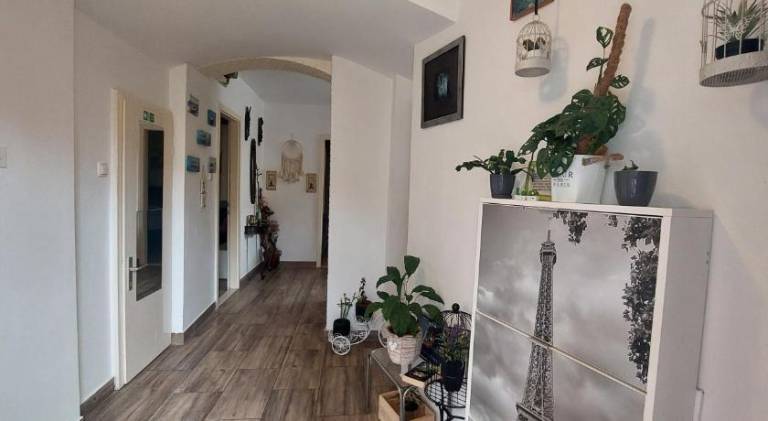 Pleasant rental apartment | Close to Diocletian's Palace | Pet-friendly — photo 5
