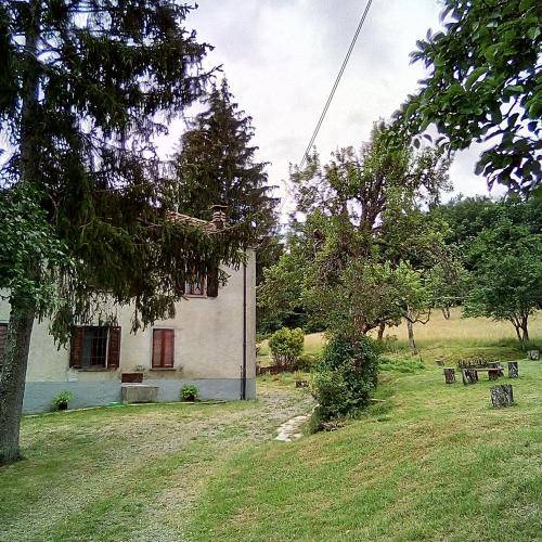 foto13