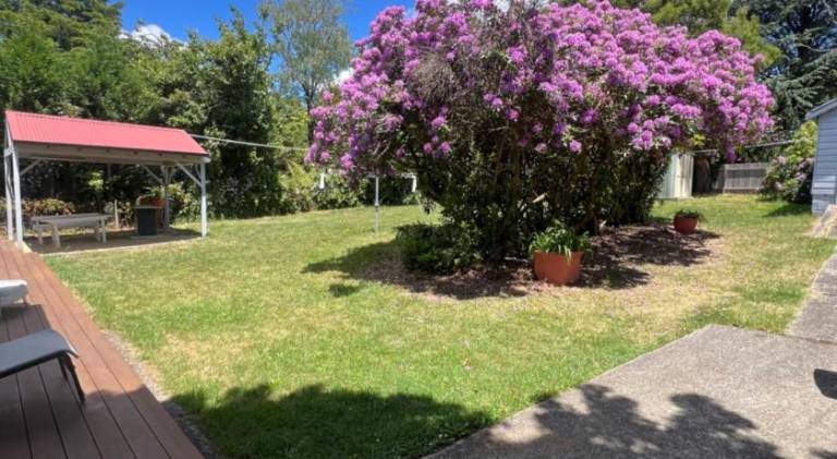 foto17