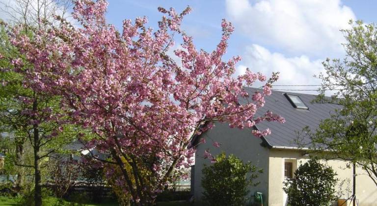 70 m&sup2; Ferienhaus