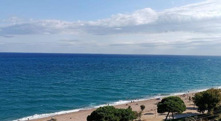 Holiday apartment | Close to the beach | Pets allowed — photo 3