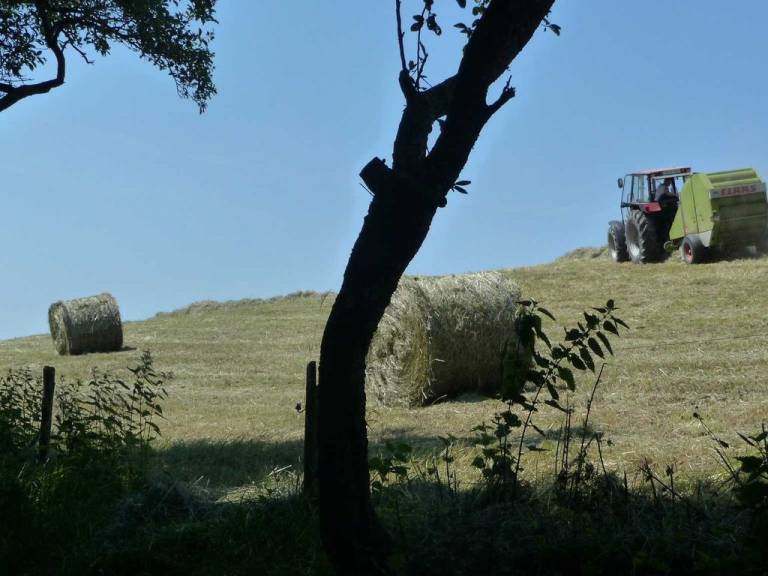 foto21