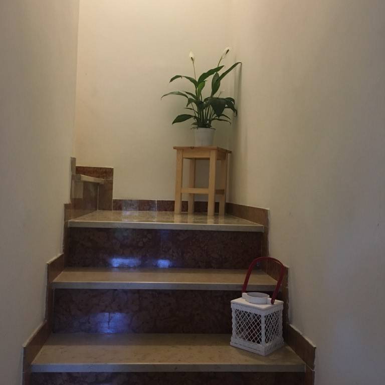 foto10