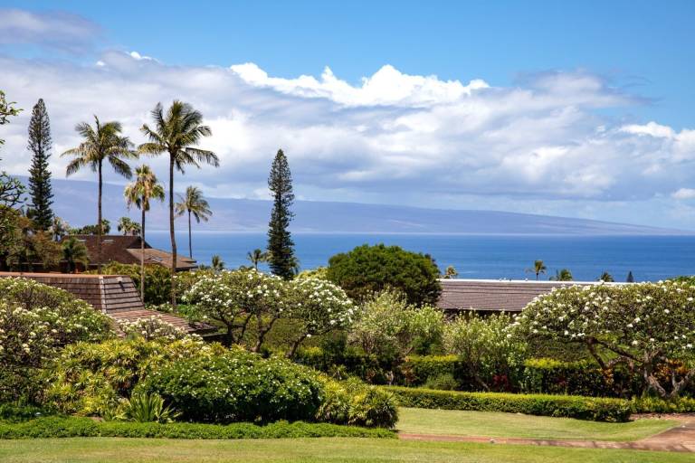 Condo  Lahaina