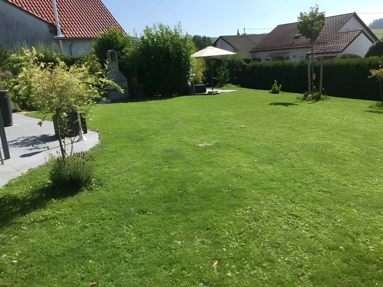 foto7