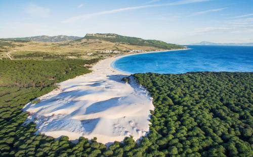 Διαμέρισμα Bolonia
