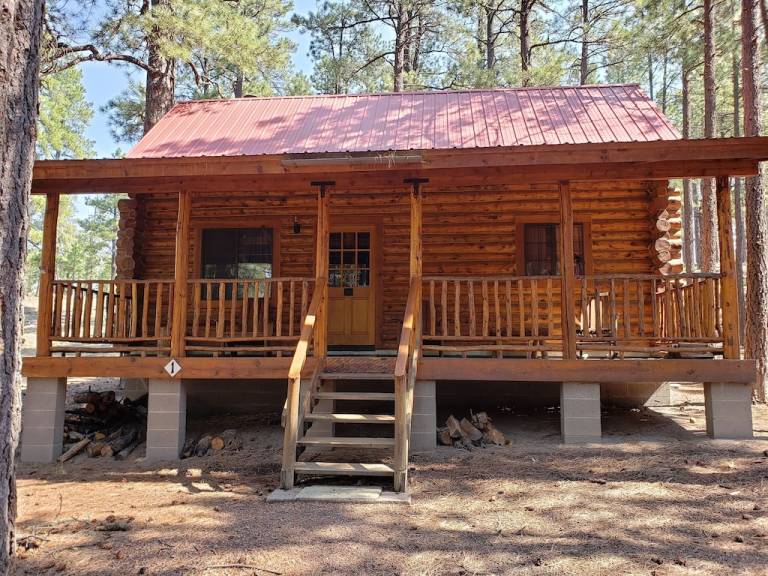 Cabin Alpine