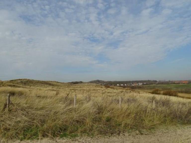 foto2