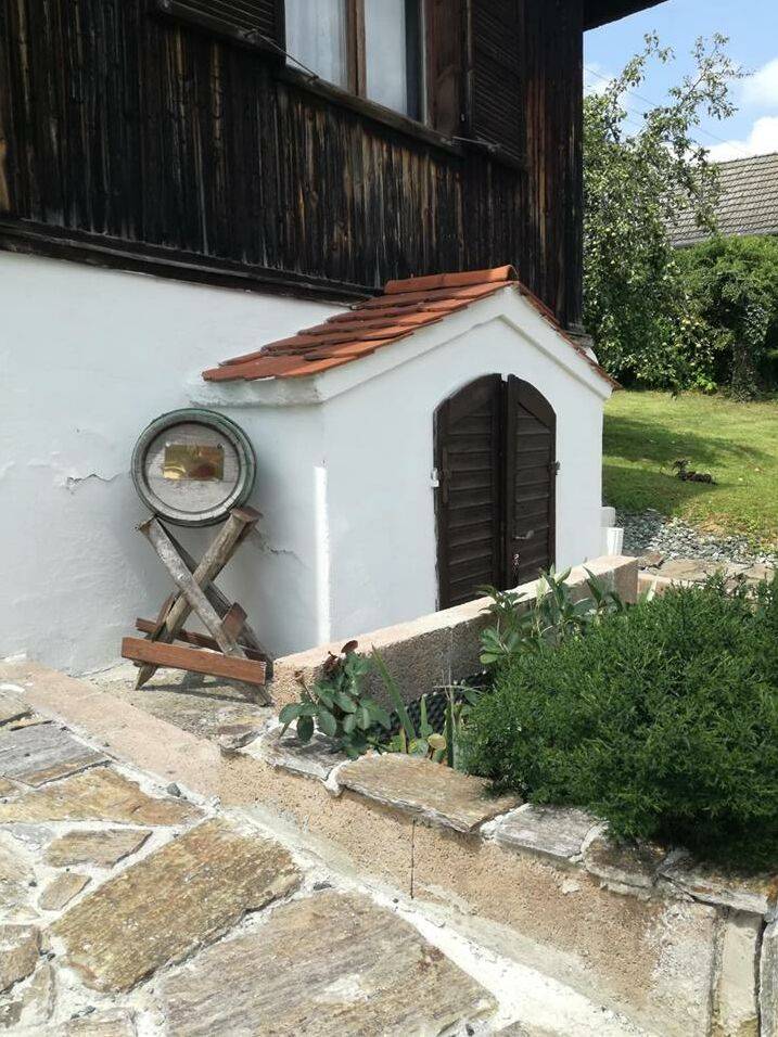foto5