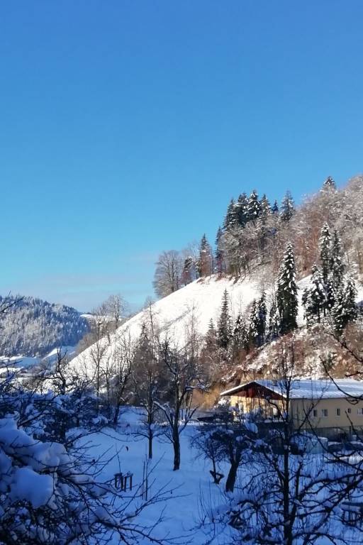 Ferienwohnung Emmental