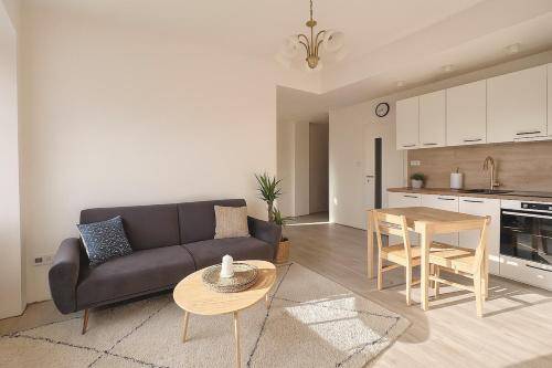 Apartmán  Brno-střed