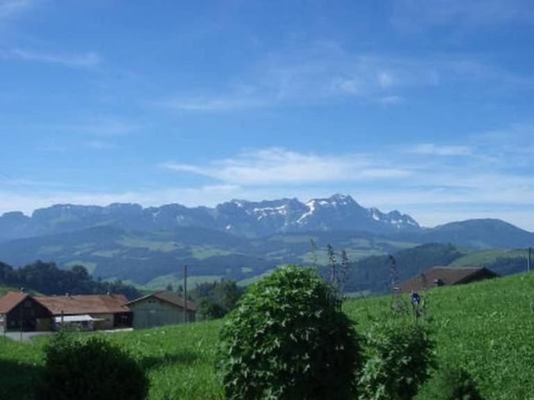foto1