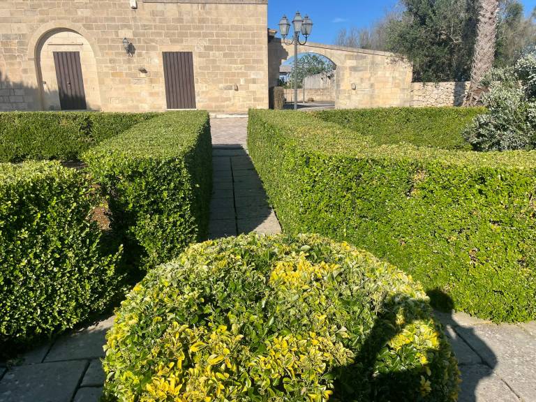 Masseria Giancola: L'AIA — photo 3
