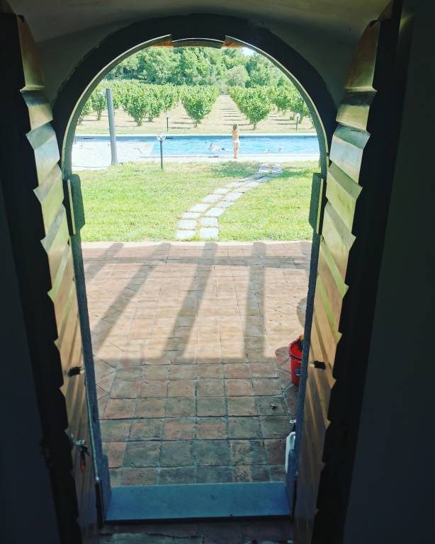 foto21