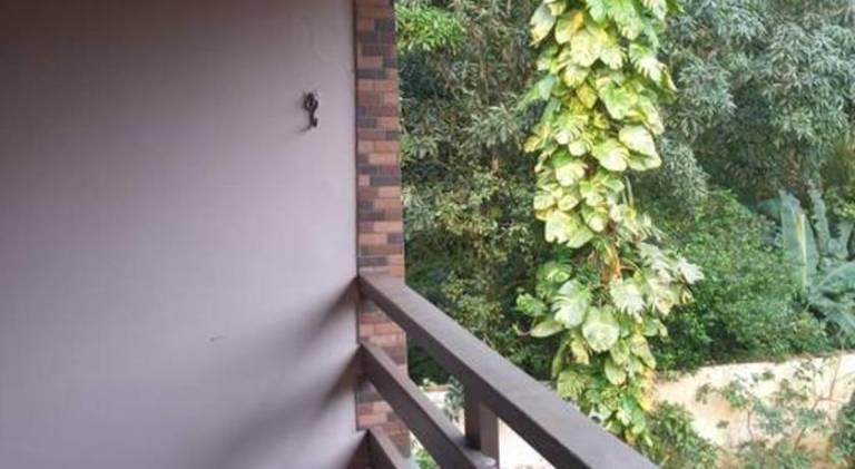 Rental apartment with 2 rooms for 6 persons — photo 5