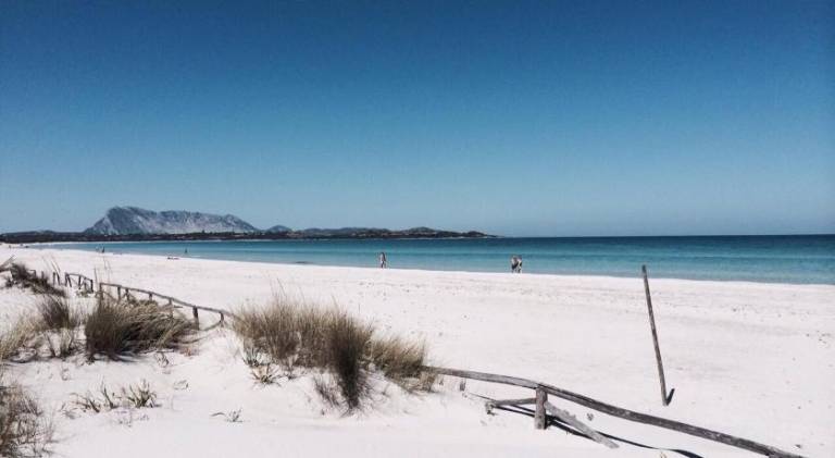 HOTEL Al FARO, SPIAGGIA LA CINTA, SAN TEODORO — photo 5