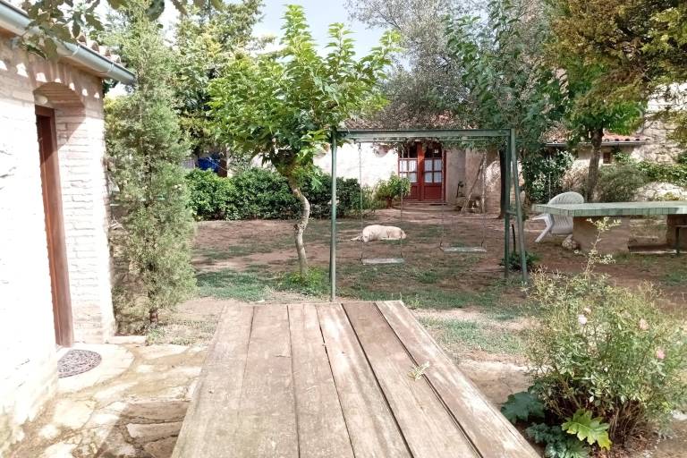 foto31