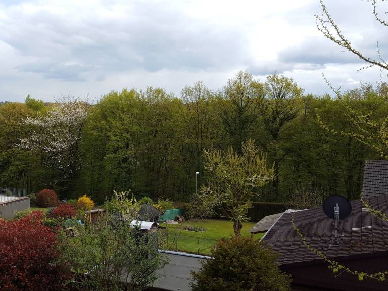 foto25