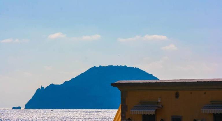Holiday apartment | Close to the beach | Pet-friendly — photo 5