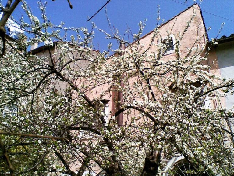 foto25