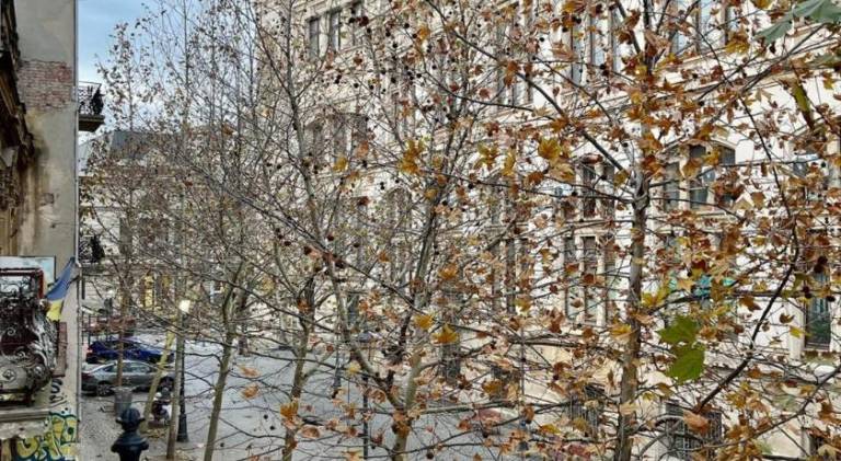 Holiday apartment with jacuzzi | Close to Palace of the Parliament — photo 2
