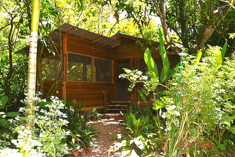 Cabin  San Ignacio
