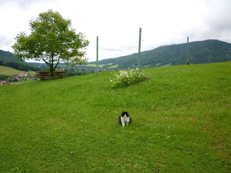 foto11