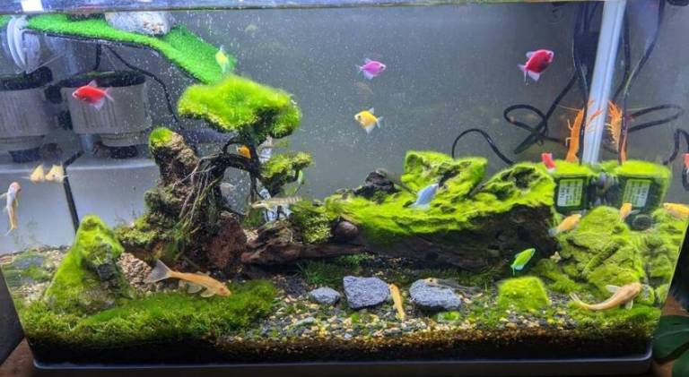 foto15