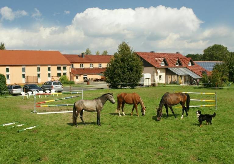 Pension  Steinsdorf
