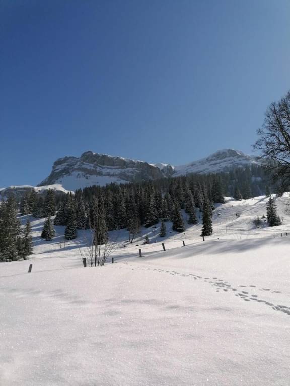 foto12