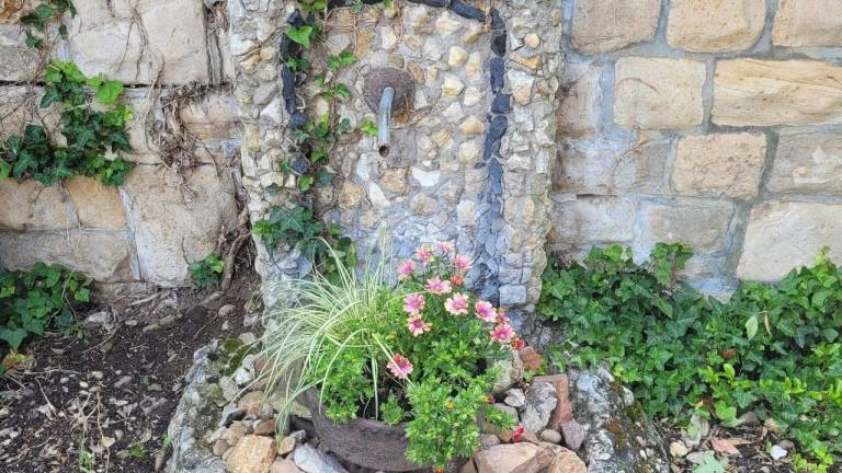 foto39