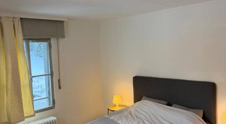 Holiday apartment | Dogs allowed in Bagnes