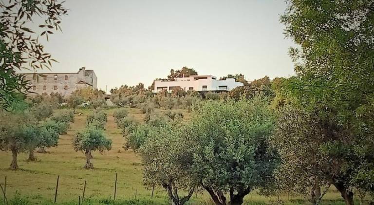 foto42