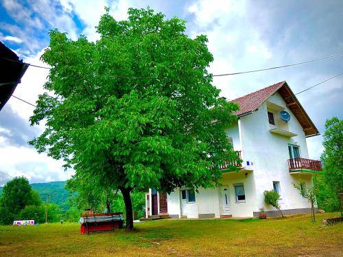 Apartment  Novo Selo Koreničko