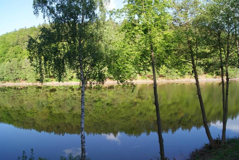 foto6