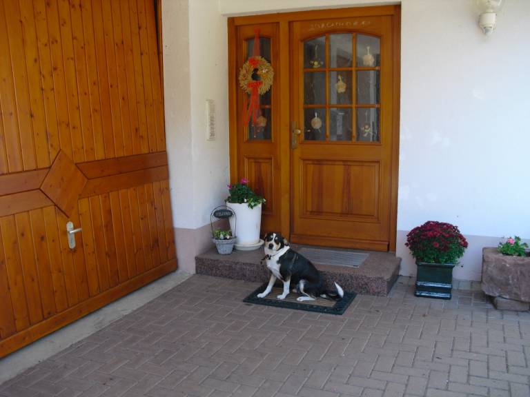 foto15