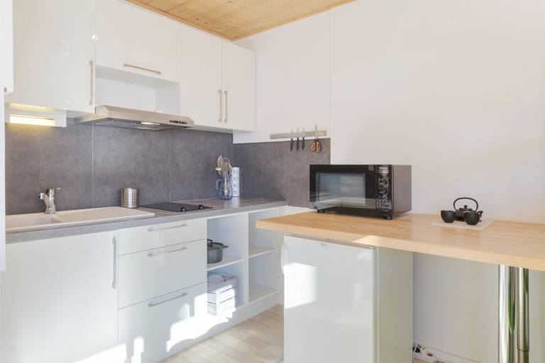 Appartement Argentière